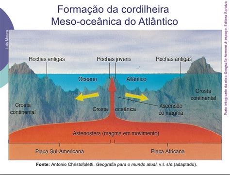  Navio-dos-Marinheiros: Uma Joia Escondida Nos Fundo Dos Oceanos! Descubra o Mundo Intrigante Deste Molusco Filtrador!