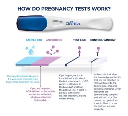 妊娠検査薬 5秒以上かけてしまった：時間と結果の微妙な関係