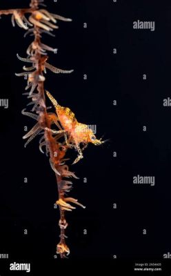  Witty Wonders: Exploring the Enchanting Elegance and Remarkable Resilience of the Whip Coral!